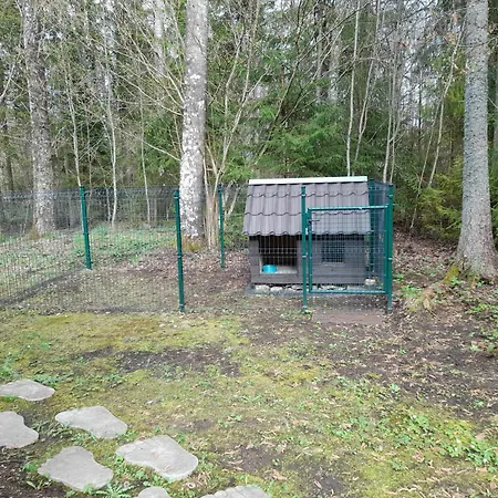 Lonni Nature Eco-accommodation Дом отдыха