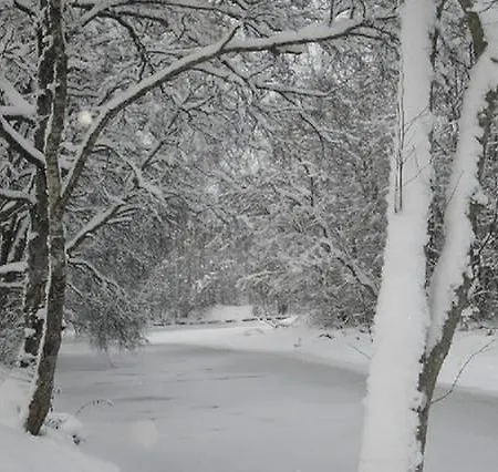 Lonni Nature Eco-accommodation *