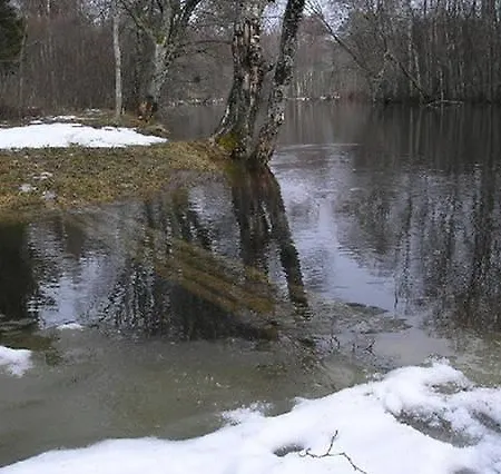 Lonni Nature Eco-accommodation Semesterbostad *