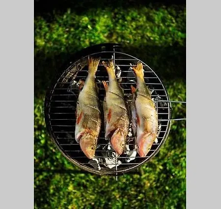 Lonni Nature Eco-accommodation *