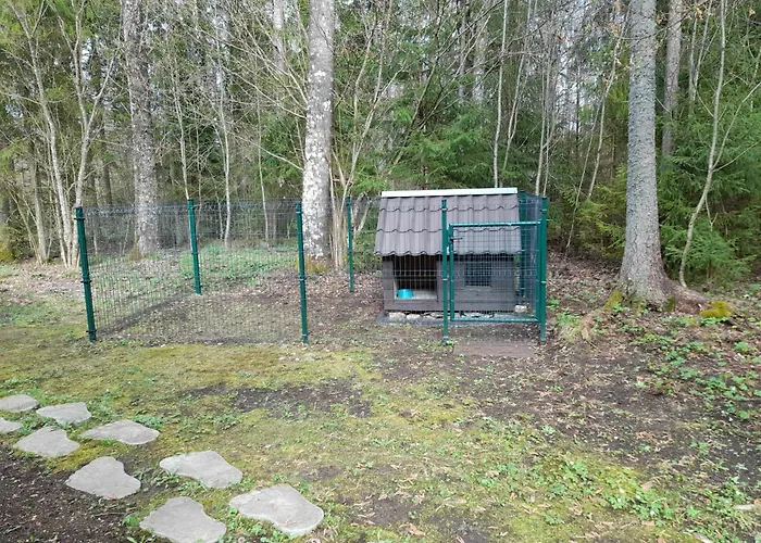 Lonni Nature Eco-accommodation Casa de Férias