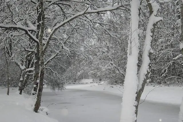 Lonni Nature Eco-accommodation *