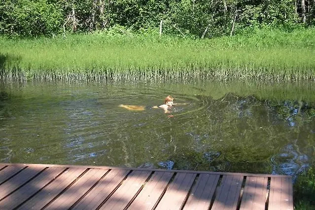 Casa de Férias Lonni Nature Eco-accommodation Hagudi
